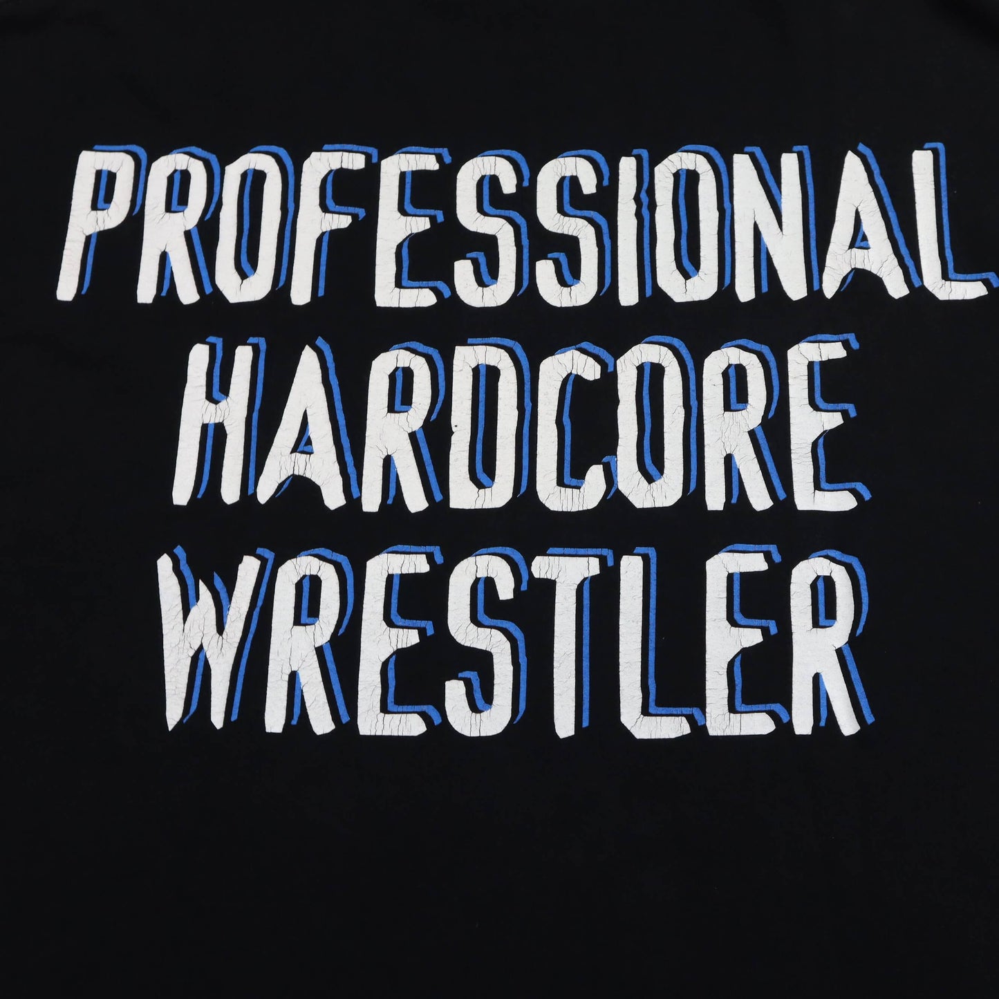 ’99 Steve Austin “Professional Hardcore Wrestler” T-Shirt (L/XL)