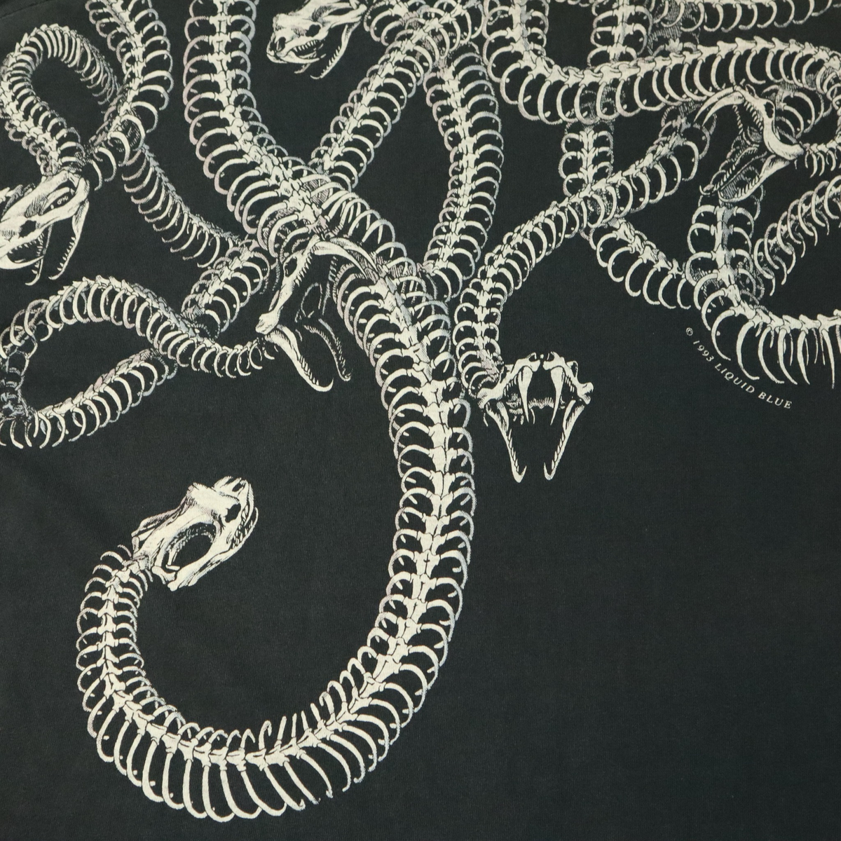 1993年 Liquid Blue "Medusa Skull & Snakes" ヴィンテージTシャツ (L/XL)